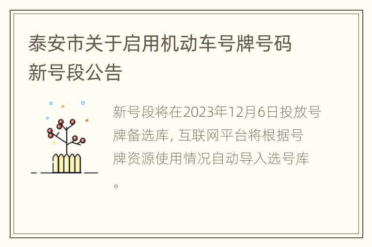 泰安市关于启用机动车号牌号码新号段公告