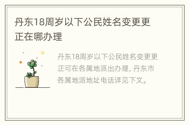 丹东18周岁以下公民姓名变更更正在哪办理