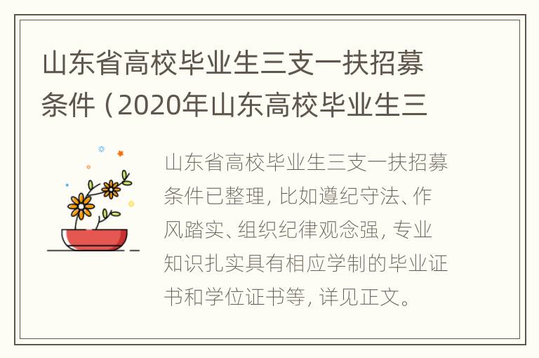 山东省高校毕业生三支一扶招募条件（2020年山东高校毕业生三支一扶招募公告）