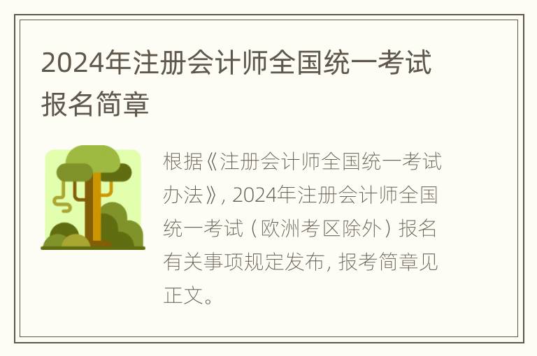 2024年注册会计师全国统一考试报名简章