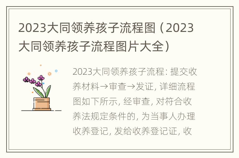 2023大同领养孩子流程图（2023大同领养孩子流程图片大全）