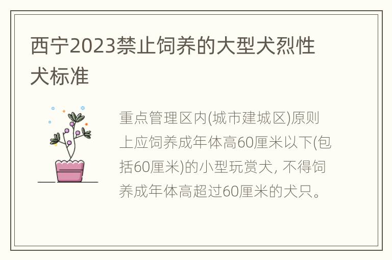 西宁2023禁止饲养的大型犬烈性犬标准