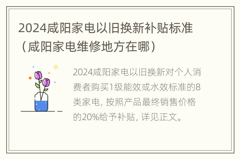 2024咸阳家电以旧换新补贴标准（咸阳家电维修地方在哪）