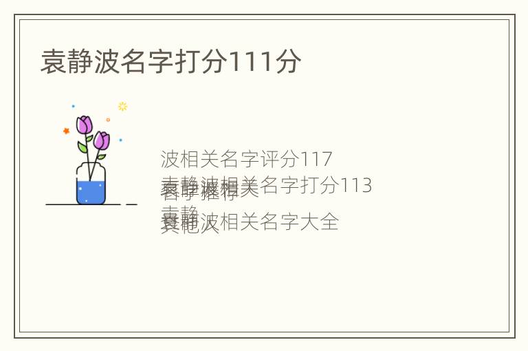 袁静波名字打分111分