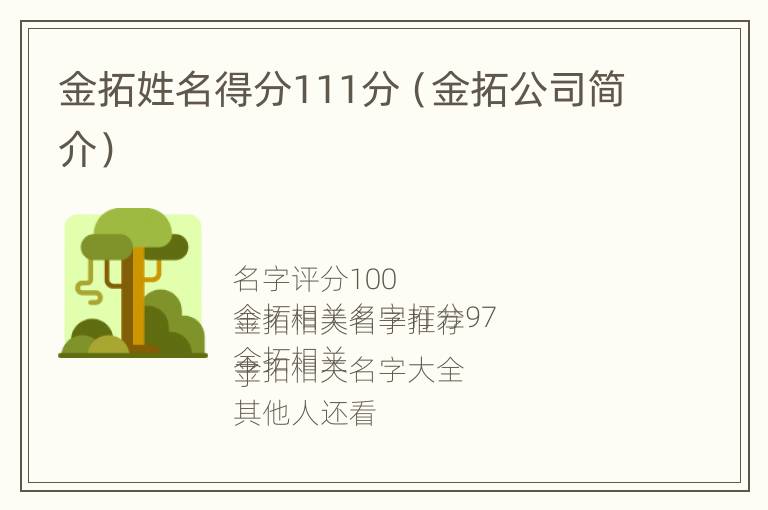 金拓姓名得分111分（金拓公司简介）