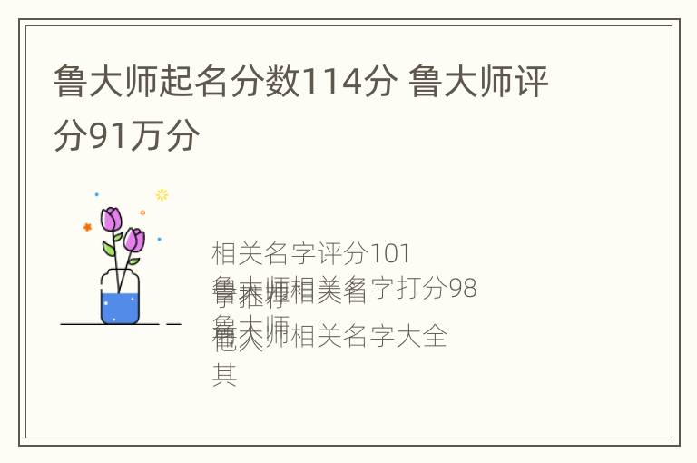 鲁大师起名分数114分 鲁大师评分91万分