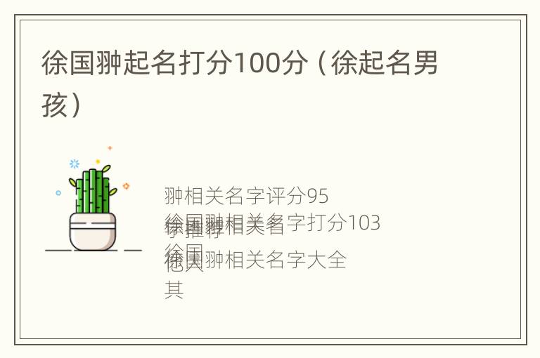 徐国翀起名打分100分（徐起名男孩）