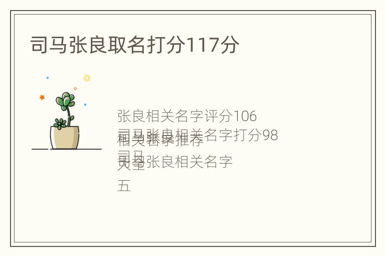 司马张良取名打分117分