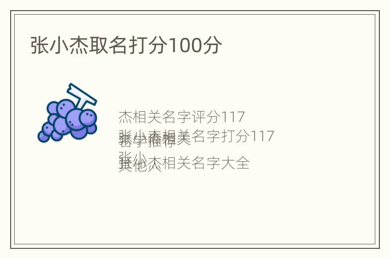 张小杰取名打分100分