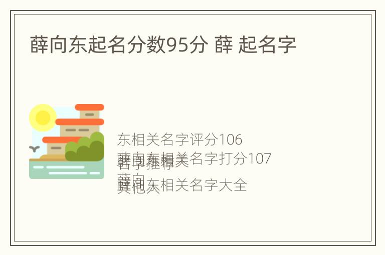 薛向东起名分数95分 薛 起名字