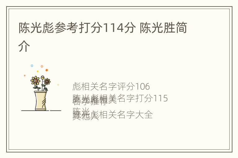 陈光彪参考打分114分 陈光胜简介