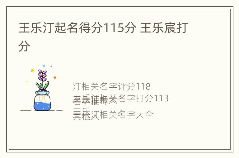 王乐汀起名得分115分 王乐宸打分