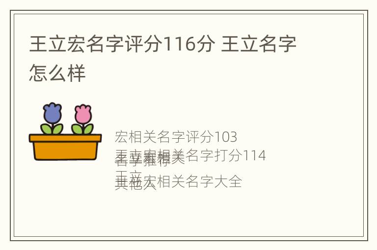 王立宏名字评分116分 王立名字怎么样