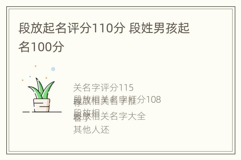 段放起名评分110分 段姓男孩起名100分