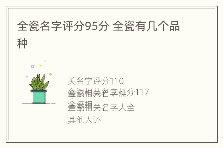 全瓷名字评分95分 全瓷有几个品种