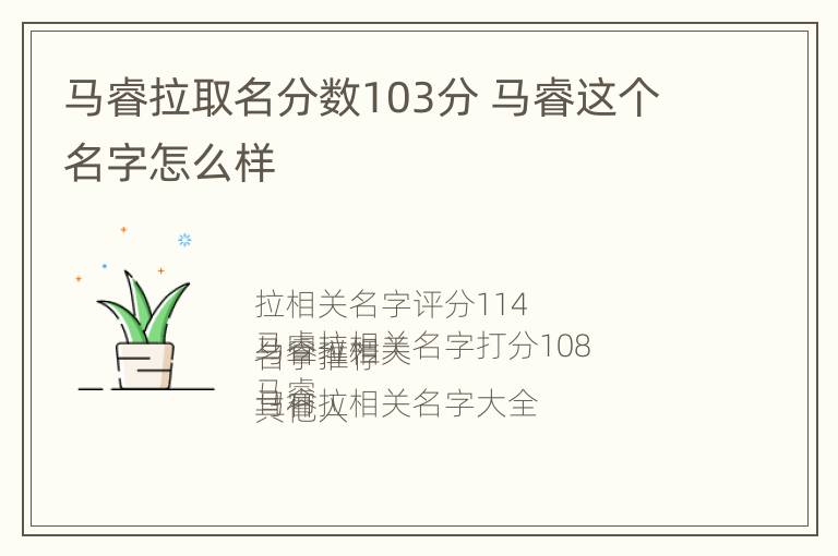 马睿拉取名分数103分 马睿这个名字怎么样