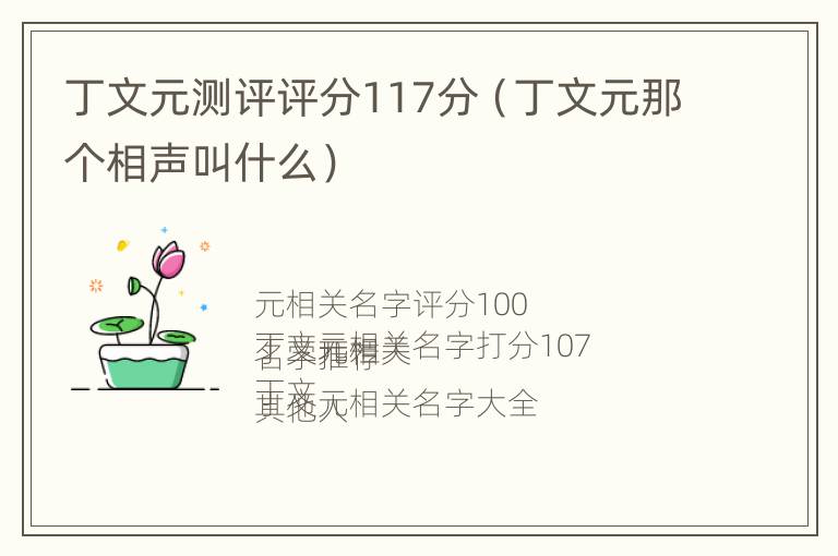 丁文元测评评分117分（丁文元那个相声叫什么）