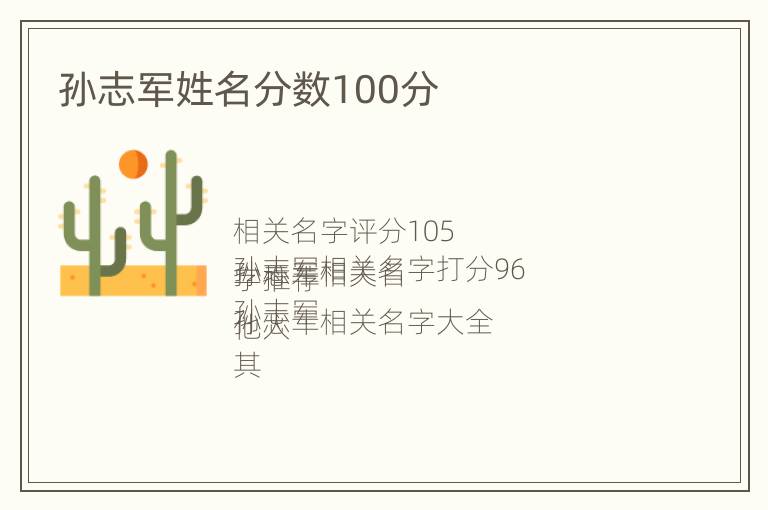 孙志军姓名分数100分