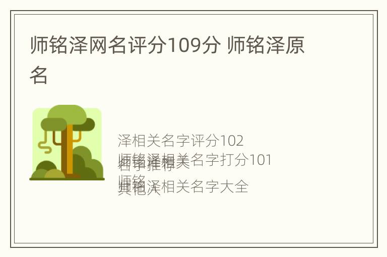 师铭泽网名评分109分 师铭泽原名