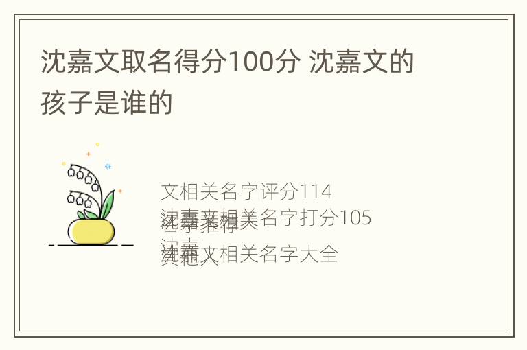 沈嘉文取名得分100分 沈嘉文的孩子是谁的