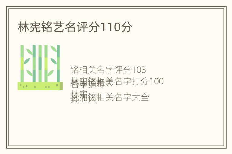 林宪铭艺名评分110分