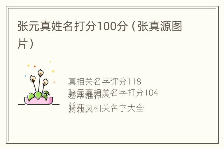 张元真姓名打分100分（张真源图片）