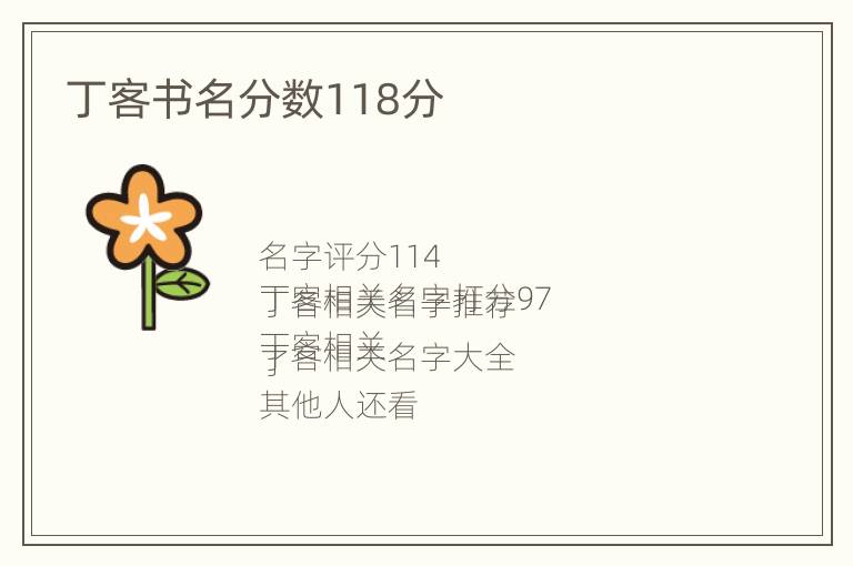 丁客书名分数118分