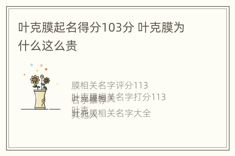 叶克膜起名得分103分 叶克膜为什么这么贵