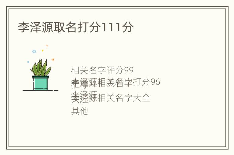 李泽源取名打分111分