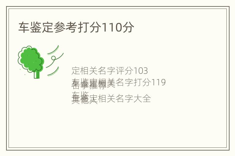 车鉴定参考打分110分