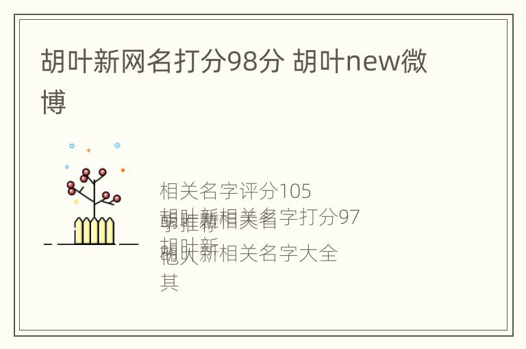 胡叶新网名打分98分 胡叶new微博