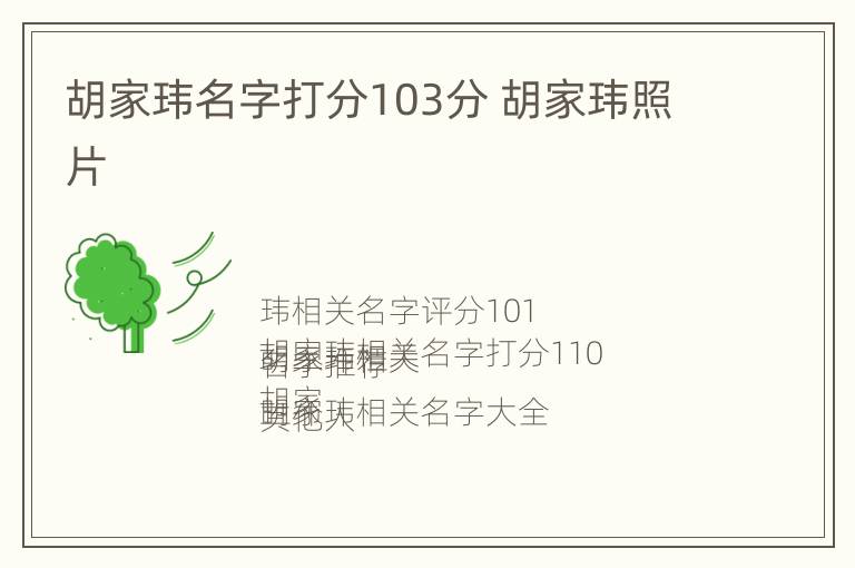 胡家玮名字打分103分 胡家玮照片