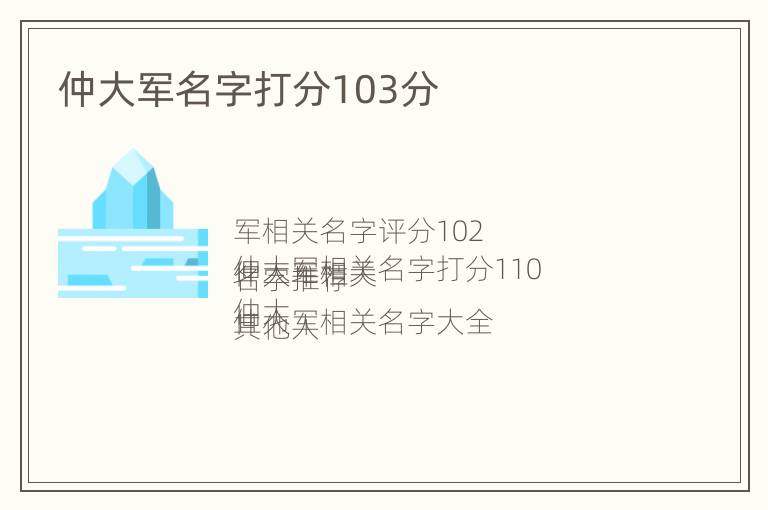仲大军名字打分103分