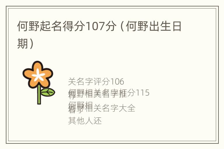 何野起名得分107分（何野出生日期）