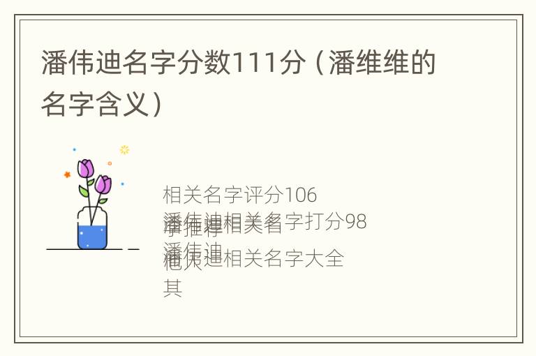 潘伟迪名字分数111分（潘维维的名字含义）