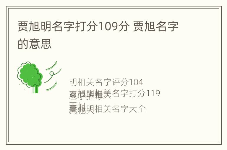 贾旭明名字打分109分 贾旭名字的意思