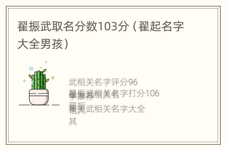 翟振武取名分数103分（翟起名字大全男孩）