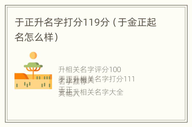 于正升名字打分119分（于金正起名怎么样）