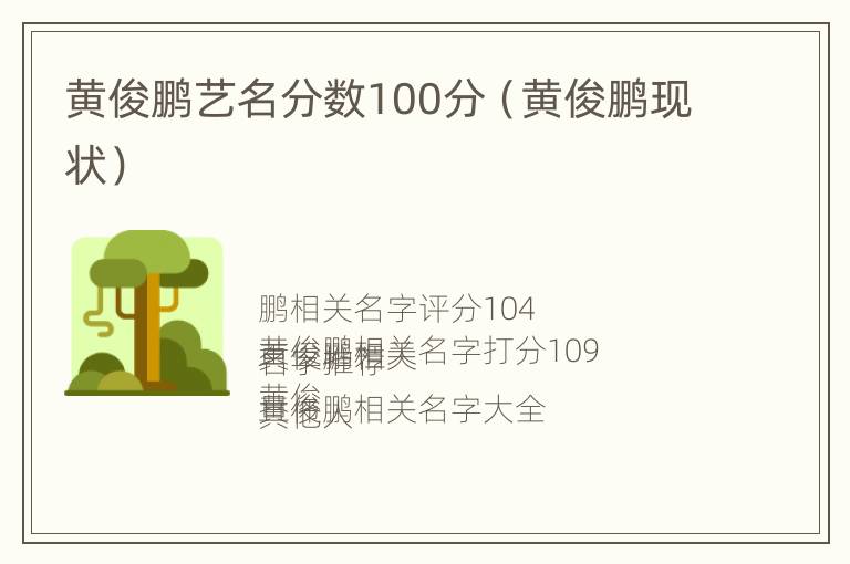 黄俊鹏艺名分数100分（黄俊鹏现状）