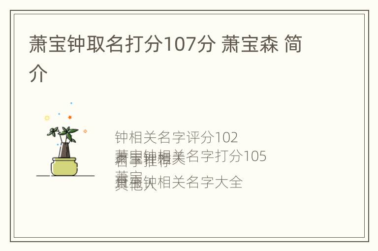 萧宝钟取名打分107分 萧宝森 简介