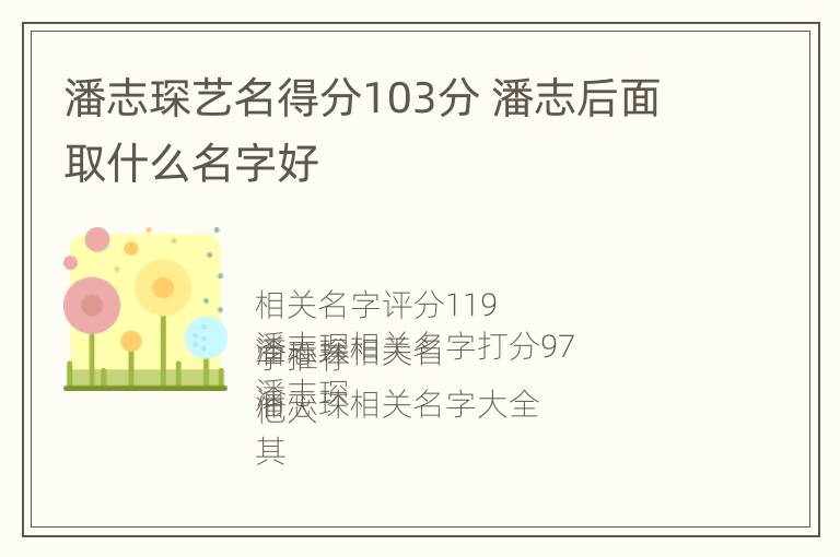 潘志琛艺名得分103分 潘志后面取什么名字好