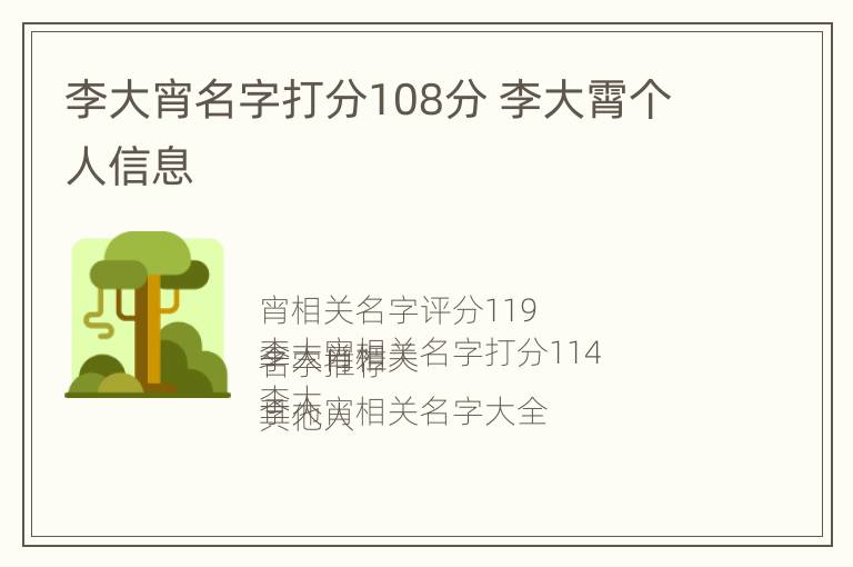 李大宵名字打分108分 李大霄个人信息