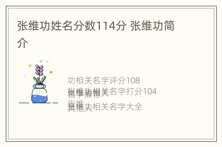 张维功姓名分数114分 张维功简介