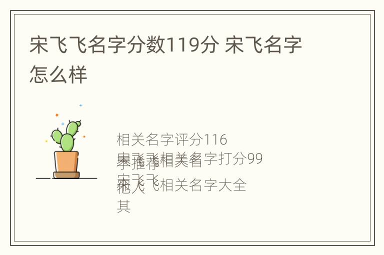 宋飞飞名字分数119分 宋飞名字怎么样