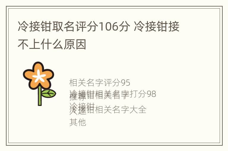 冷接钳取名评分106分 冷接钳接不上什么原因