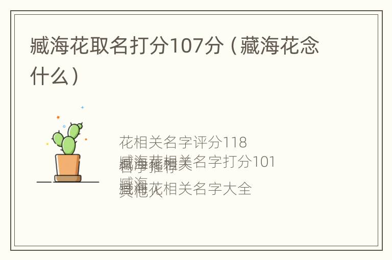 臧海花取名打分107分（藏海花念什么）