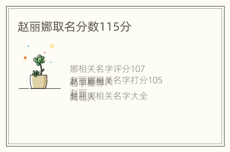 赵丽娜取名分数115分