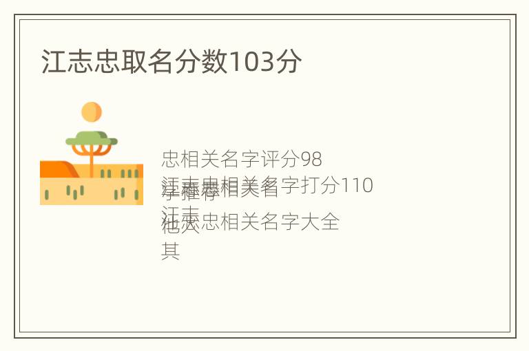 江志忠取名分数103分