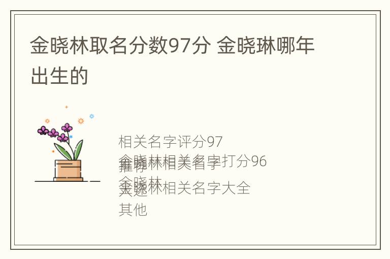 金晓林取名分数97分 金晓琳哪年出生的