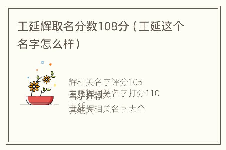 王延辉取名分数108分（王延这个名字怎么样）